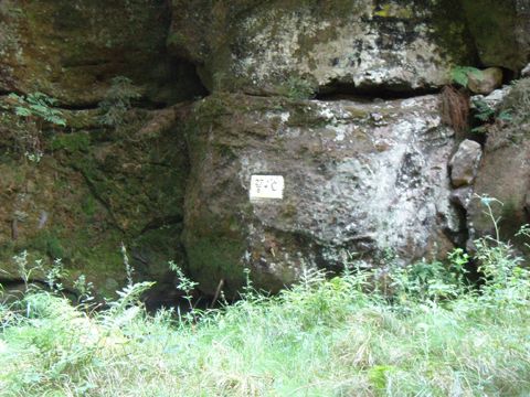 Foto 42